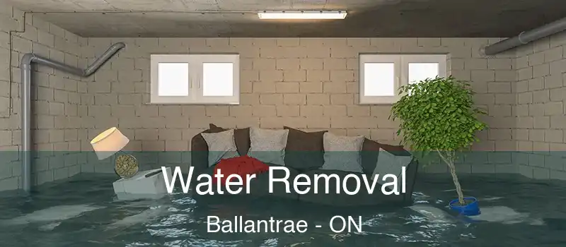 Water Removal Ballantrae - ON