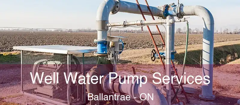 Well Water Pump Services Ballantrae - ON